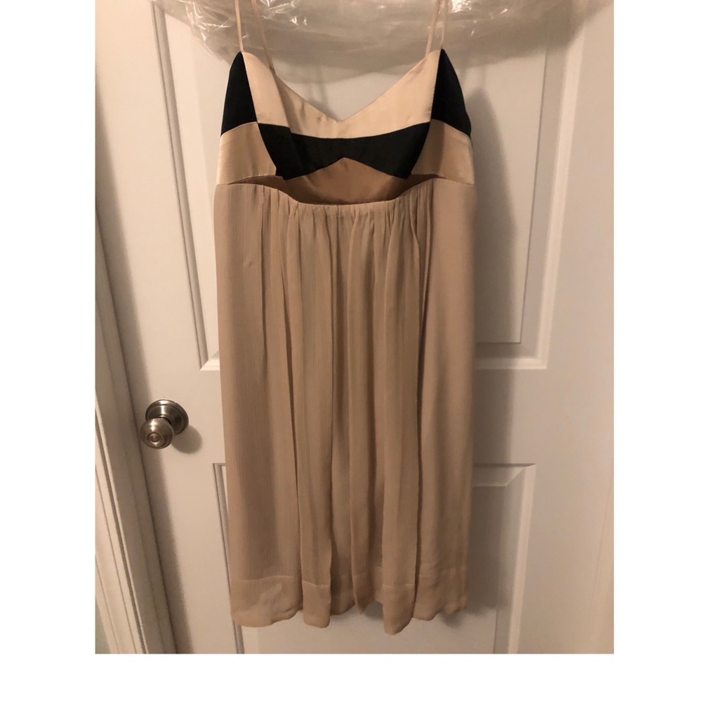 BCBGMaxAzria Beige and Black Mini Dress
